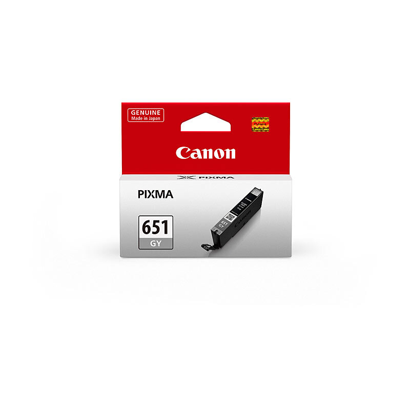 Canon 651 Grey Ink